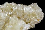 Cerussite Crystal Cluster - Morocco #107895-2